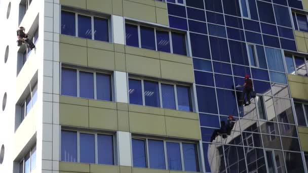 Уборщики окон. Квалифицированные работники высоток моют стеклянные окна офисного здания — стоковое видео