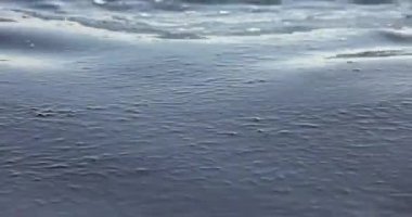 Deniz kıyısı yakınlarında petrol kirliliği. Ekoloji. Çevre kirliliği.