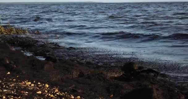 Poluição por petróleo perto da costa do mar.Ecologia. Poluição ambiental. — Vídeo de Stock