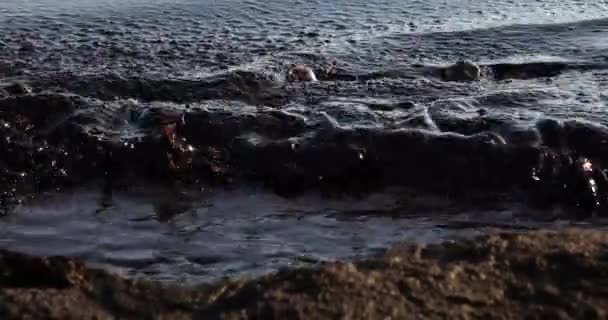 Poluição por petróleo perto da costa do mar.Ecologia. Poluição ambiental. — Vídeo de Stock