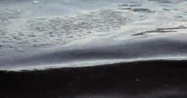 Deniz kıyısı yakınlarında petrol kirliliği. Ekoloji. Çevre kirliliği.