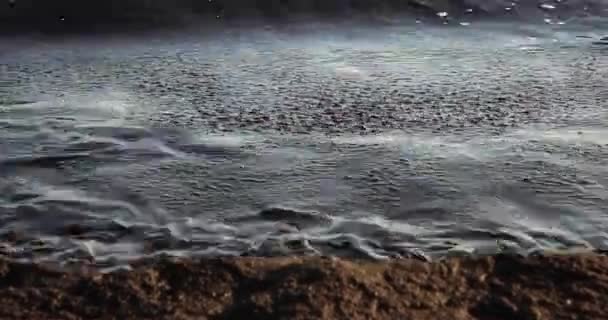 Oljeföroreningar nära havskusten.Ekologi. Miljöföroreningar. — Stockvideo