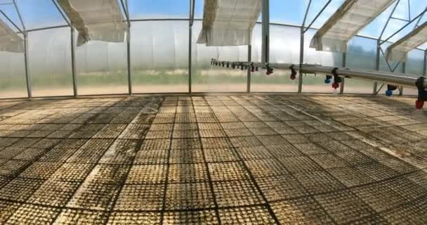 Un invernadero para el cultivo de plantas y árboles. Tecnología de riego en el invernadero. — Vídeo de stock