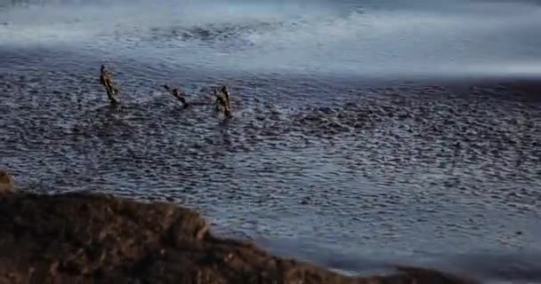 Contaminación petrolera cerca de la costa marina.Ecología. Contaminación ambiental. — Vídeos de Stock