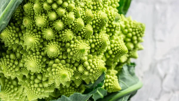 Romanesco Parsakaali Lähikuva Fraktaalinen Kasvi Tunnetaan Sen Yhteydestä Fibonacci Sekvenssiin — kuvapankkivalokuva