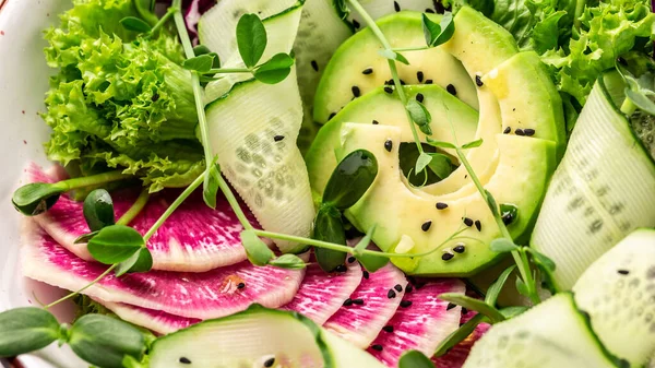 Dieetmenu Watermeloen Radijs Avocado Sla Microgroene Komkommer Radijs Salade Bovenaanzicht — Stockfoto