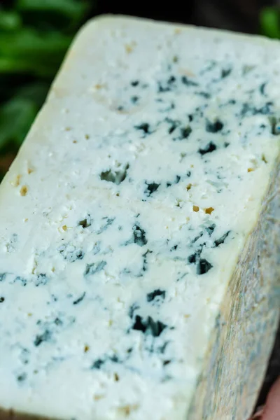 关闭蓝色奶酪Roquefort Gorgonzola或Dorblu Stlton乳制品由山羊羊或奶牛乳制品Roquefort Cambozola 食品配方背景 — 图库照片