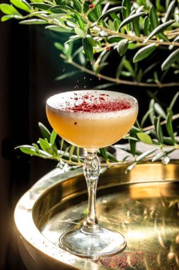 Köpüklü üst ve kırmızı dut tozu ile kristal coupe bardakta servis edilen zarif bir karışım. Özel bar menüleri ve içecek reklamları için mükemmel..