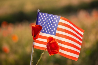 Kırmızı gelincik çiçekli Birleşik Devletler bayrağı. Anma Günü 'nü, anma gününü, onuru ve askeri fedakarlığı simgeliyor.