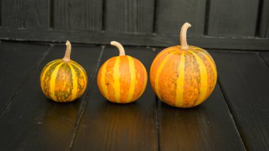 Güzel sulu taze balkabağı