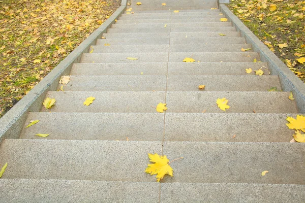 Beautiful gray granite street steps in the park in autumn