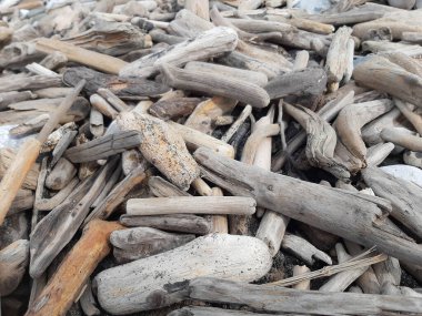 Sahilde sürüklenen dallar, sürüklenen ağaçların arka plan dokusu Sahildeki doğal ahşap zemin.