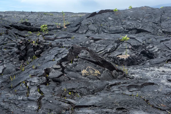 Campo de lava en la isla grande de Hawaii — Foto de Stock