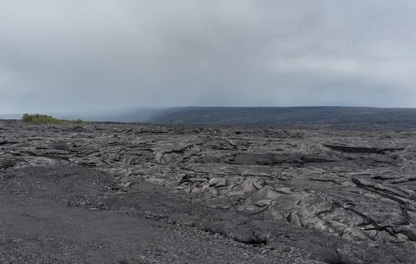 Campo de lava en la isla grande de Hawaii — Foto de Stock