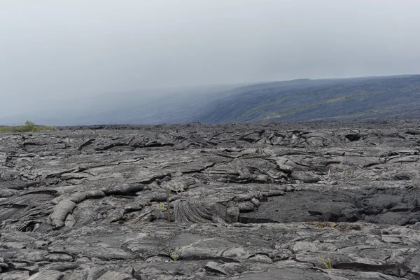 Campo de lava na Ilha Grande do Havaí — Fotografia de Stock