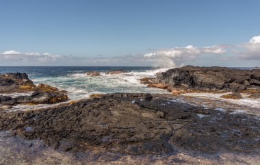 Büyük ada Hawaii sörf