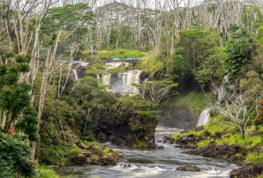 Pe'epe'e düşüyor Hawaii