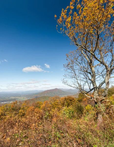 Blue Ridge Parkway, Virgínia — Fotografia de Stock