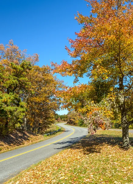 Blue Ridge Parkway, Virginia — Stok fotoğraf