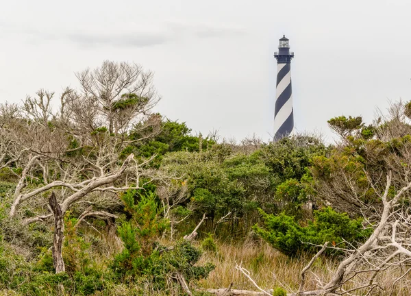 Cape hatteras ışık — Stok fotoğraf