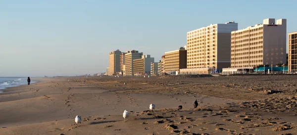 Wczesnym rankiem w Virginia Beach — Zdjęcie stockowe