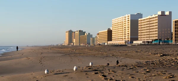 Early Morning on Virginia Beach — Stock Photo, Image