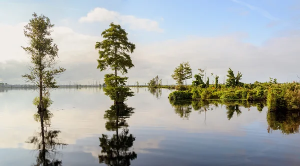 Lake Drummond — Stockfoto