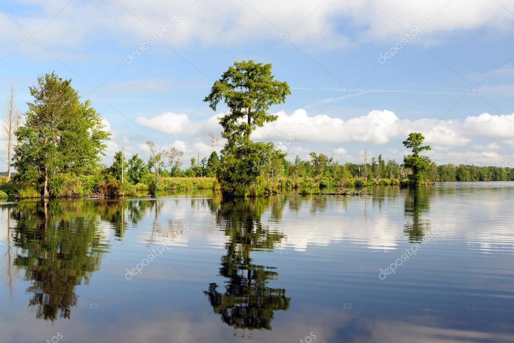 Lake Drummond 2 — Stock Photo © jomo333 71963423