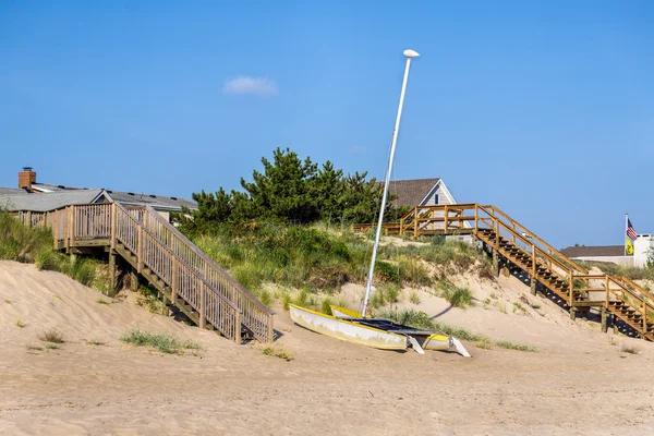 Kat op het strand — Stockfoto