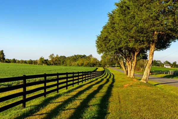 Country Road — Stock Photo, Image