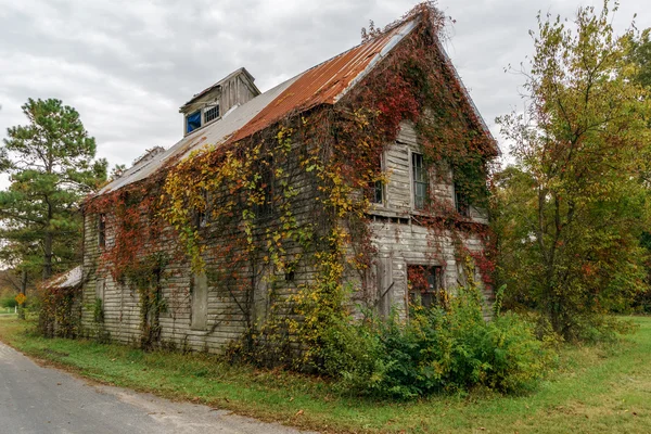 Antigua casa abandonada y superpoblada —  Fotos de Stock