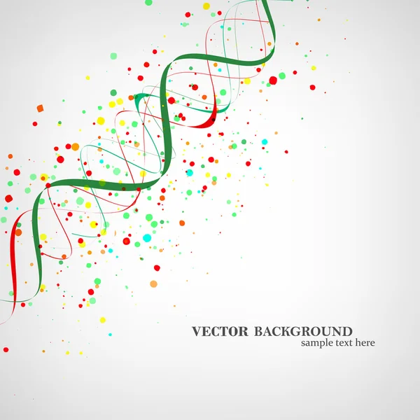 Composición de la molécula de ADN — Vector de stock