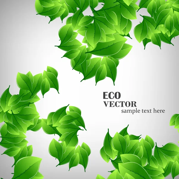 Illustration de feuilles vertes — Image vectorielle