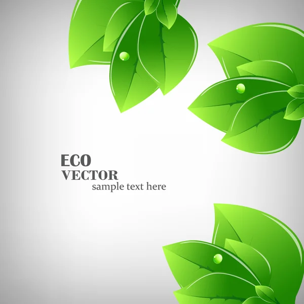 Ilustración hojas verdes — Vector de stock