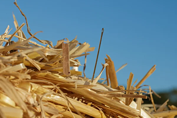 Sprichwort über eine Nadel — Stockfoto