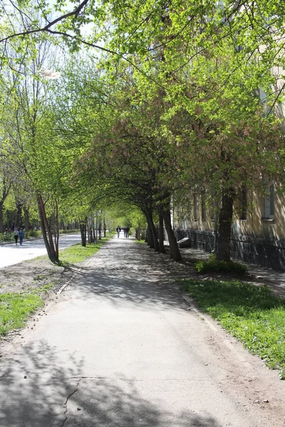 Callejón Parque Árboles Verdes Con Camino Para Caminar Verano — Foto de Stock