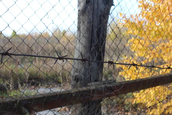 Cerca Con Una Rejilla Barras Metal Territorio Prohibido Zona — Foto de Stock