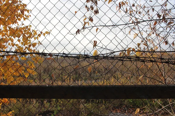 Забор Решеткой Металлических Прутьев Запретной Территории Зоны — стоковое фото