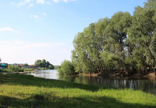 Річковий Берег Зеленими Деревами Біля Озера Влітку — стокове фото