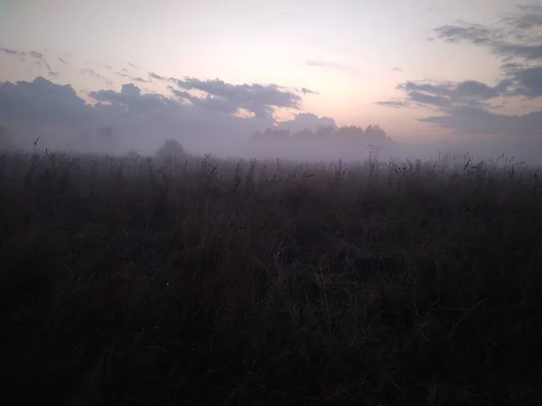 Niebla Mañana Sobre Campo Con Hierba Otoño Naturaleza —  Fotos de Stock