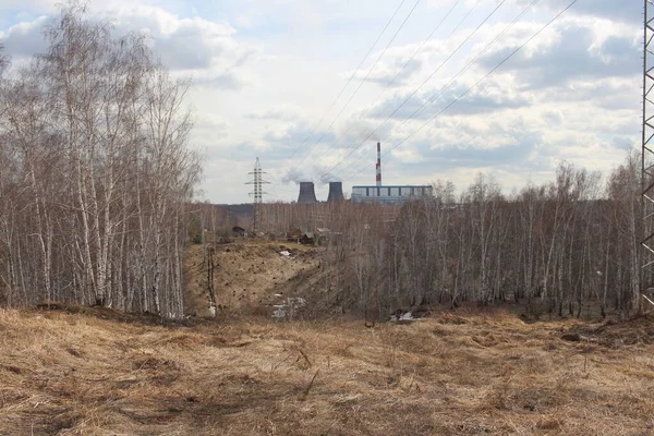 CHP soğutma kulelerinde yüksek voltajlı kablolar için yüksek demir elektrik kabloları olan ormandaki tepeler