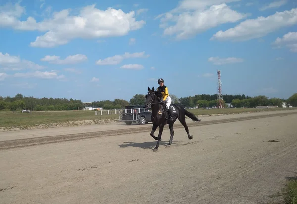 Rosja Nowosybirsk 2019 Jeździec Dżokej Koniu Zawodach Wyścigowych — Zdjęcie stockowe