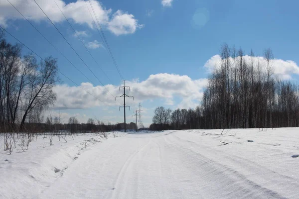 Neve Deriva Floresta Inverno Com Postes Para Linhas Energia — Fotografia de Stock