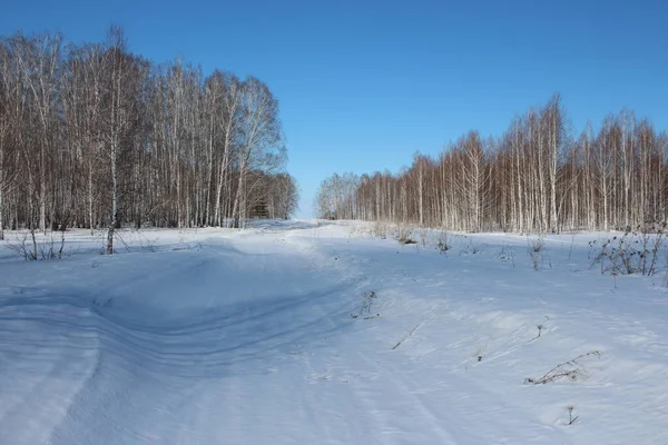 Kışın Karlı Havada Ormanda Araba Sürmek Için Temiz Bir Yol — Stok fotoğraf