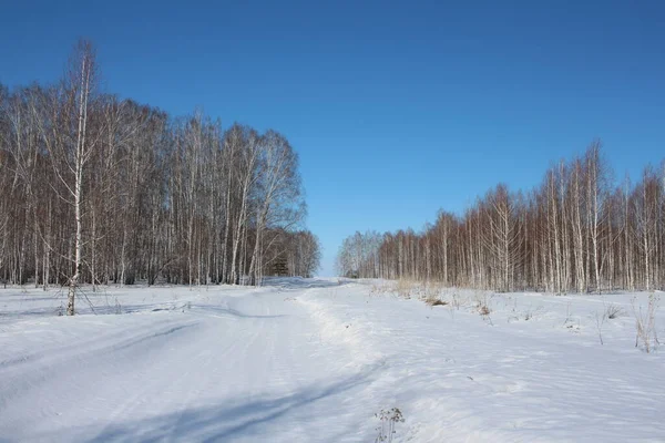 Straße Für Das Fahren Bei Schnee Winter Schneeverwehungen Wald Geräumt — Stockfoto
