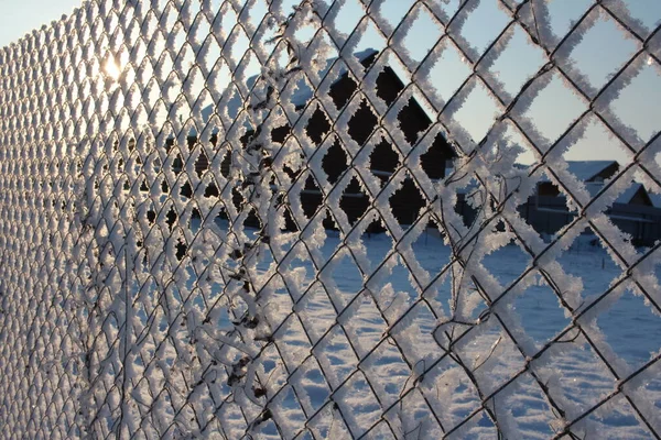 Bolyhos Fehér Fagy Jégkristályok Télen Kerítésen — Stock Fotó