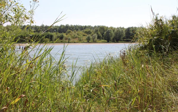 Älven Buskarna Bland Träden Banken Lugn Bakvatten Sommaren För Fiske — Stockfoto