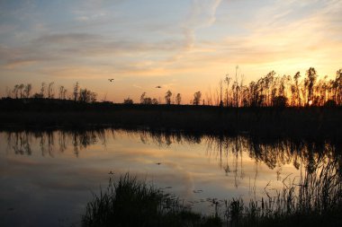 Gün batımı gölde su yansıması batan güneşin doğada akşam yansıması