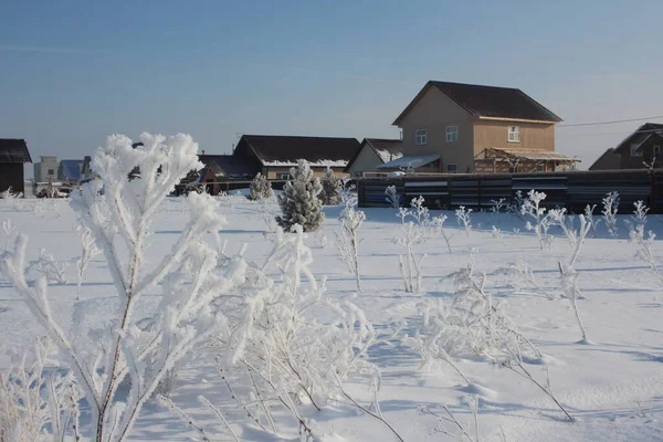 Winter Sibirien Schneeweiße Straße Schneewehen Schöne Häuser Dorf Reime — Stockfoto