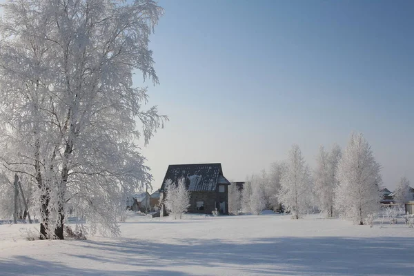 Zima Syberii Snowy Białe Drzewa Zaspy Śnieżne Piękne Domy Miejscowości — Zdjęcie stockowe